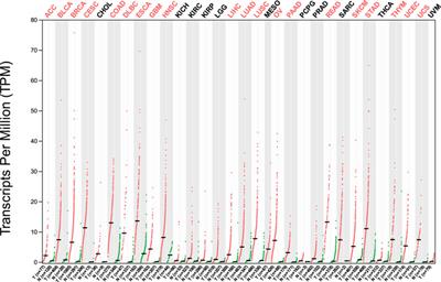 Exploring HMMR as a therapeutic frontier in breast cancer treatment, its interaction with various cell cycle genes, and targeting its overexpression through specific inhibitors